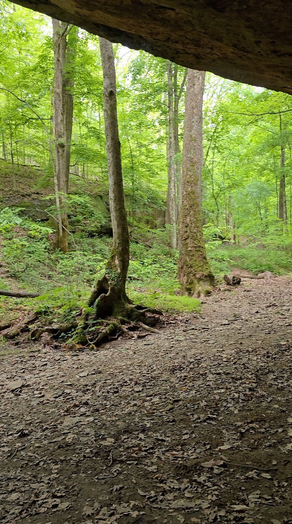 Still from the trail film, shot outdoors